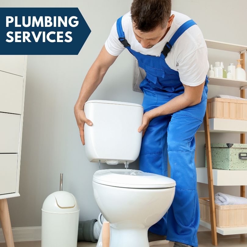 Plumbing Company in Waddell, AZ